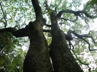 DSCF9533_R