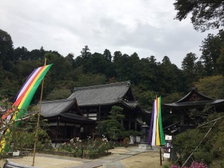 2017.11岡寺①IMG_4049